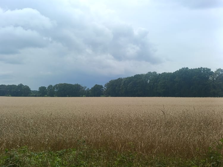 Winsen/Aller