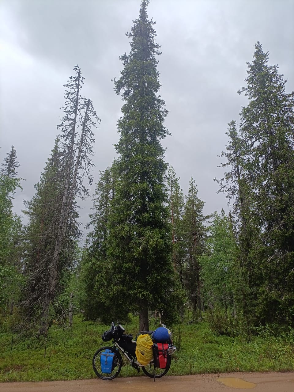 Regen