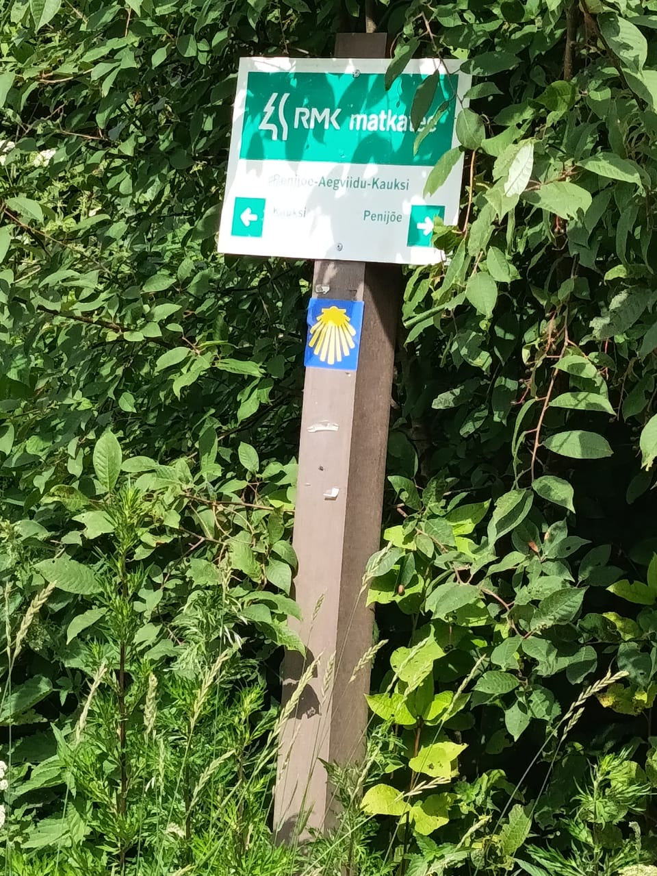 Jakobsweg