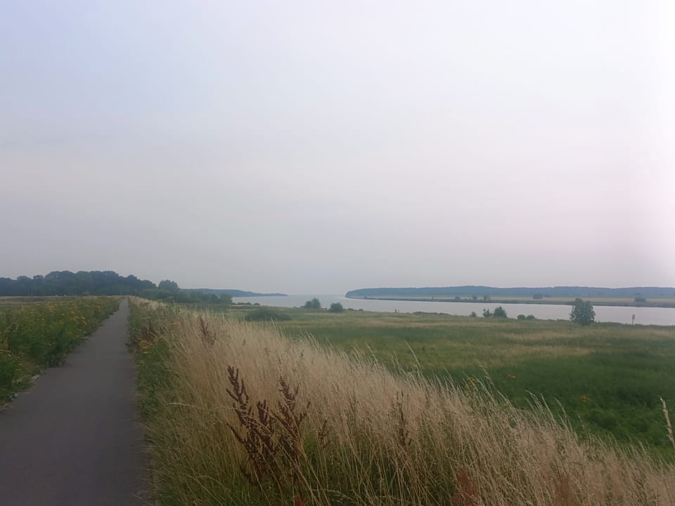Weichselmündung